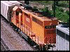 hatx_429.jpg