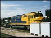 mkcx_5525.jpg