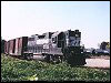 ns_4154.jpg