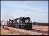 ns_6676.jpg