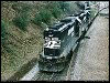 ns_7007.jpg