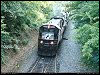 ns_8507.jpg