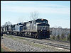 ns_8988.jpg