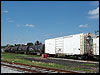 rwcx_206.jpg
