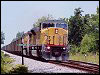 up_8126.jpg