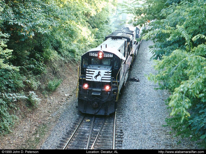 ns_8507.jpg