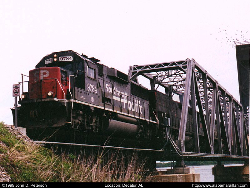 sp_9784.jpg