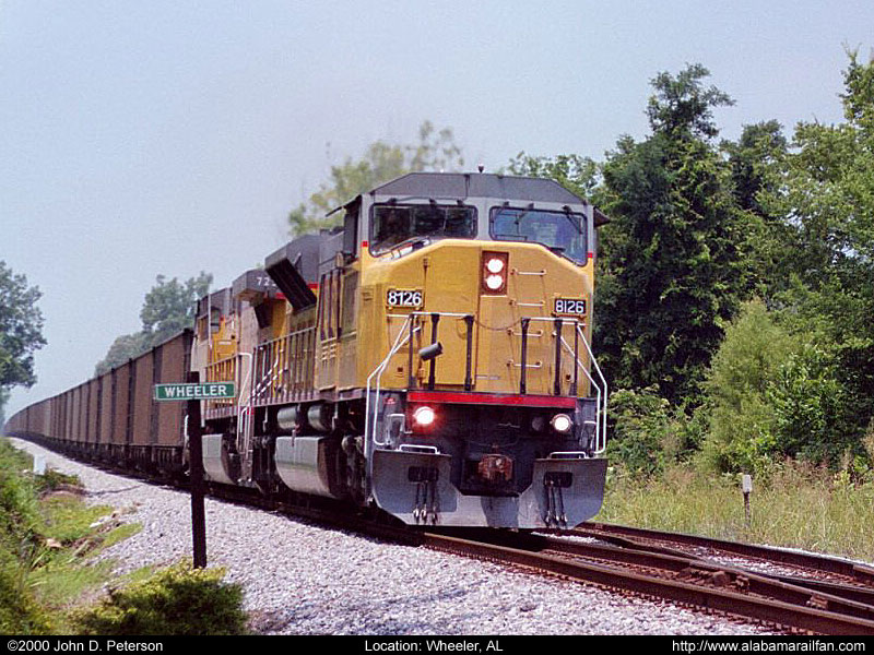 up_8126.jpg